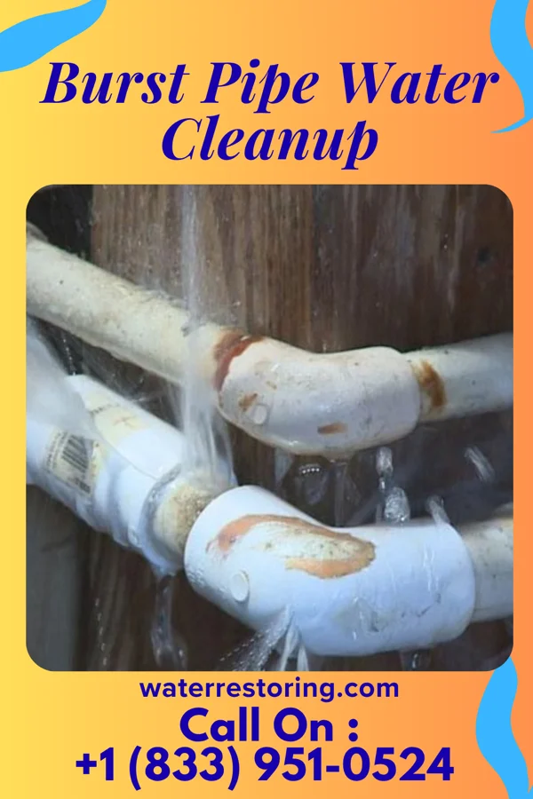 Burst Pipe Water Cleanup in Meadville, PA