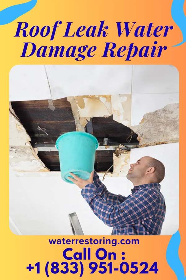 Roof Leak Water Damage Repair in Meadville, PA