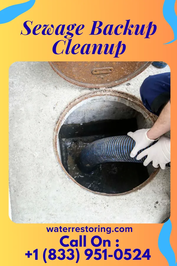 Sewage Backup Cleanup in Meadville, PA