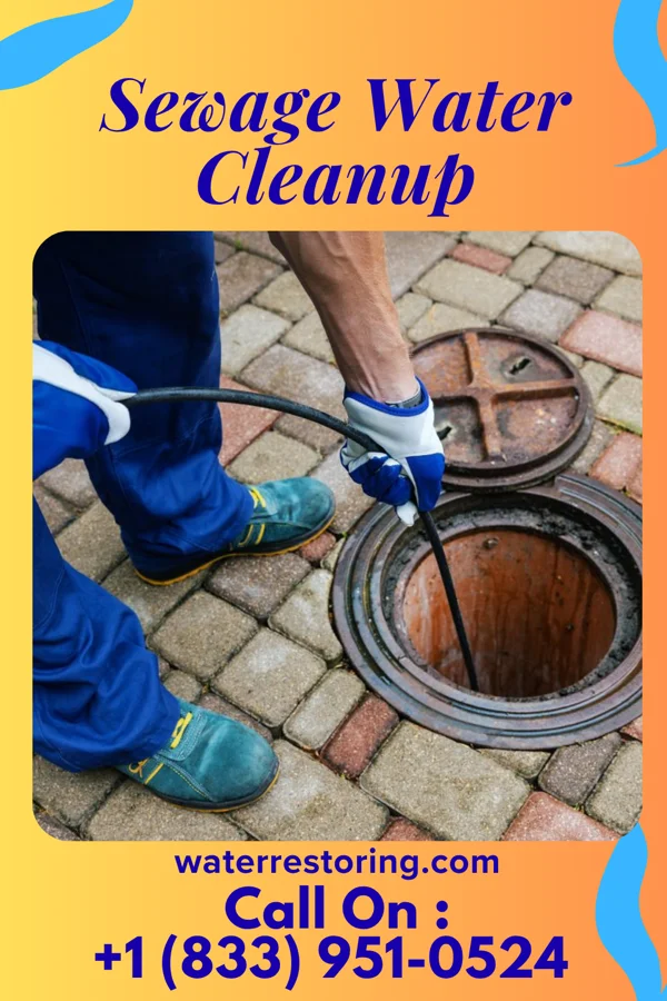 Sewage Water Cleanup in Meadville, PA