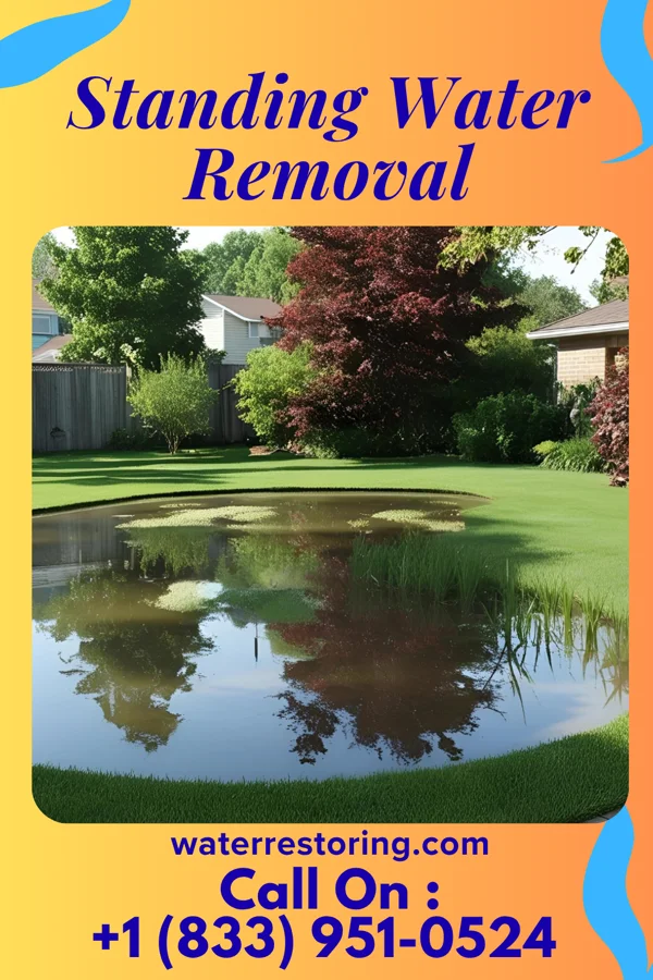 Standing Water Removal in Meadville, PA
